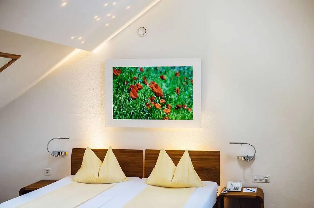 Hotel Odelya Basel Switzerland
